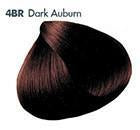 All Nutrient Keratint 4BR Dark Auburn 2oz