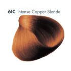 All Nutrient 6IC Intense Copper Blonde 3.5 oz. Norcalsalonservices.com
