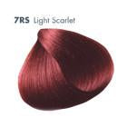 All Nutrient 7RS Light Scarlet 3.5 oz. Norcalsalonservices.com